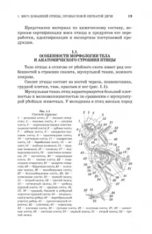 Тихонова, Мотовилов, Мотовилов: Товароведение и экспертиза мяса птицы, яиц и продуктов их переработки. Качество и безопасность