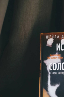 Шейла Джеффрис: История кота Соломона и Элен, которой было непросто