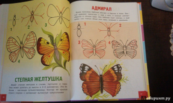 Простые уроки рисования. От простого к сложному