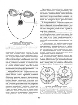 Слесаренко, Бабичев, Торба: Анатомия собаки. Висцеральные системы (Спланхнология). Учебник для вузов