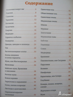 Владимир Горбатовский: Насекомые России. Жуки, бабочки и другие