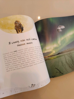 Мак Гагельдонк: Посмотри, как я могу! Чудеса животного мира