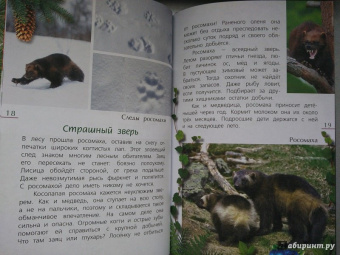 Александр Тихонов: Лесные тайны