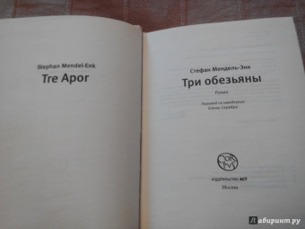 Стефан Мендель-Энк: Три обезьяны