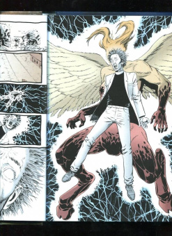 Гарт Эннис: Проповедник. Книга первая