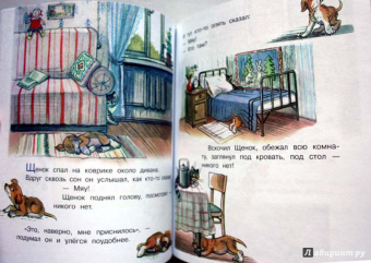 Владимир Сутеев: Загадочные истории