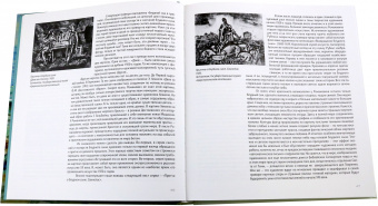 Александр Иньшаков: Сергей Михайлович Романович. Искусство и жизнь