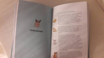 Брук Баркер: Грустные факты о детенышах