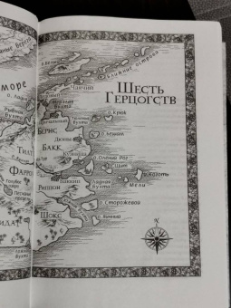 Робин Хобб: Сага о Шуте и Убийце. Книга 3. Судьба шута