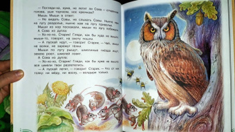 Паустовский, Бианки, Сладков: Лучшие сказки про зверей