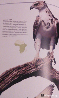 Бамбарадения, Вудрафф, Гинзберг: Животный мир. Иллюстрированный атлас