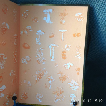 Петр Волцит: Ягоды и грибы