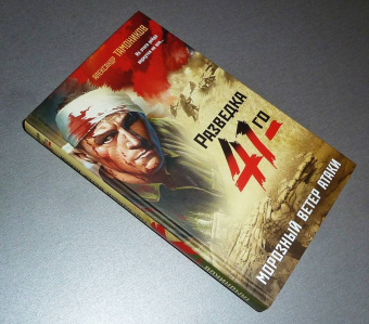 Александр Тамоников: Морозный ветер атаки