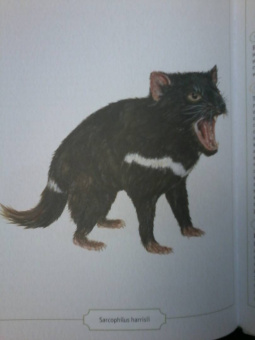 Сэми Бэйли: Энциклопедия опасных животных