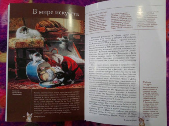 Николай Непомнящий: Все о кошках