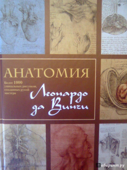 Мартин Клейтон: Анатомия Леонардо