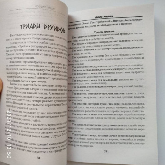 Виталий Молохов: Тайные знания друидов