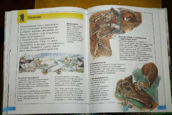 Дугал Диксон: Самые удивительные динозавры (серая)