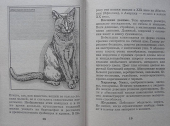 Мария Солодова: Чего хочет ваша кошка