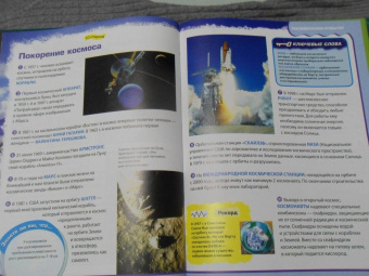 Вероника Пеллегрини: Вопросы и ответы обо всем на свете