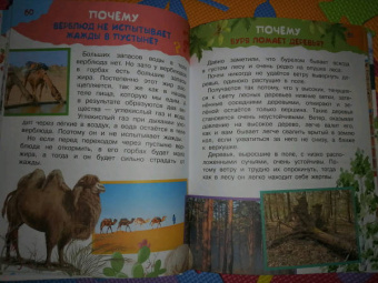 Малов, Альтшулер: 100 тысяч почему