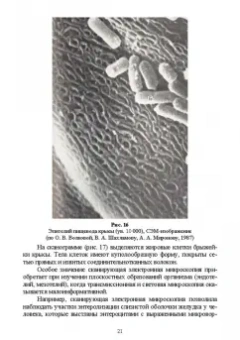 Сахно, Ватников, Ленченко: Практическая электронная микроскопия. Учебное пособие для СПО