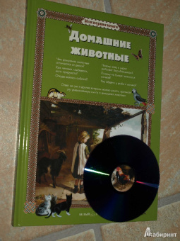 Светлана Лаврова: Домашние животные