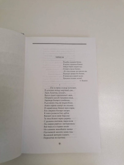 Михаил Лермонтов: Последний сын вольности