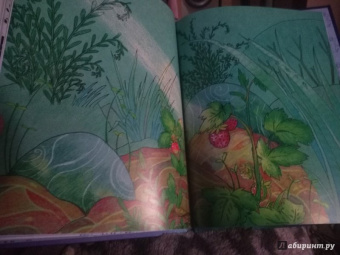 Галина Гордиенко: Как на землю пришли сны