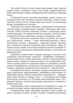 Ким, Ким, Кушнирук: Пищевая безопасность водных биологических ресурсов и продуктов их переработки. Учебное пособие. СПО