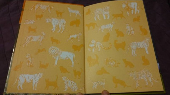 Александр Тихонов: Кошки дикие и домашние