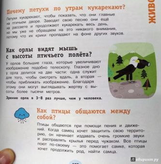 700 вопросов почему и как. И столько же ответов, простых и удивительных