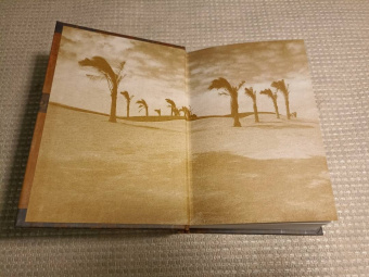 Макарий Преподобный: Духовные беседы