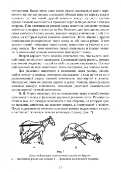 Анникова, Козлов: Клиническое исследование животных. Учебное пособие для СПО