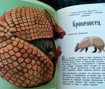 Бен Хоар: Чудеса природы. Энциклопедия