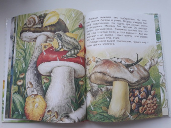 Николай Сладков: Сказки лесной опушки