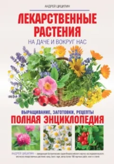 Андрей Цицилин: Лекарственные растения на даче и вокруг нас. Полная энциклопедия