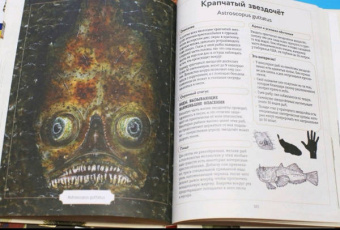 Сэми Бэйли: Энциклопедия удивительных животных