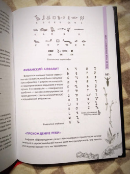 Рэймонд Бакленд: Полная книга ведьмовства. Классический курс Викки
