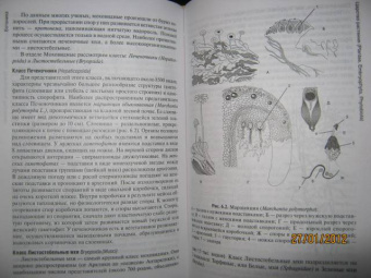 Зайчикова, Барабанов: Ботаника. Учебник