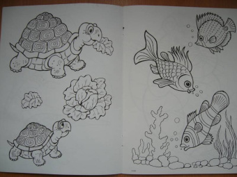 Татьяна Коваль: Домашние любимцы