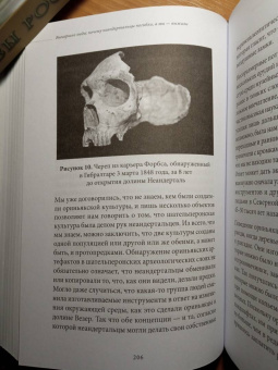 Клайв Финлейсон: Вымершие люди. Почему неандертальцы погибли, а мы — выжили