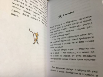 Арне Фуглесанг: Космическое путешествие