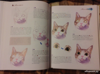 Чунь Гуань: Милые котики. Рисуем домашних любимцев
