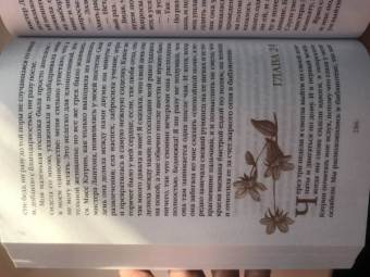 Эмили Бронте: Грозовой перевал