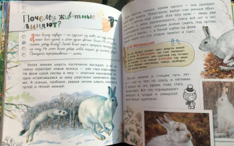 Танасийчук, Волцит, Альтшулер: Почемучкины сказки о животных