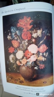 Юрий Астахов: Ян Брейгель Старший