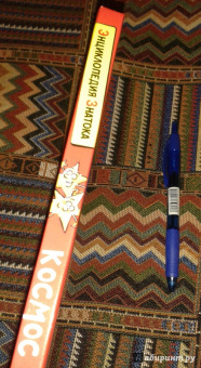 Кристин Санье: Космос