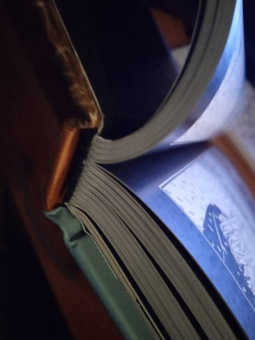 Терри Мур: Воскресение Рэйчел. Том 3