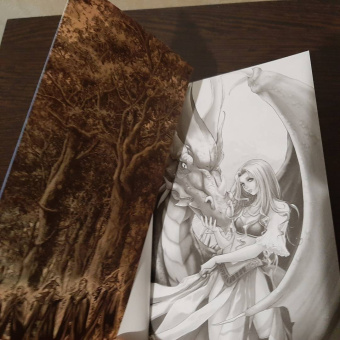 Ричард Кнаак: Warcraft. Трилогия Солнечного колодца. Охота на дракона